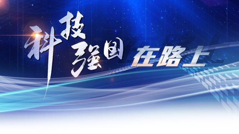 数据治理平台与数据中台：解析二者的核心区别与应用场景
