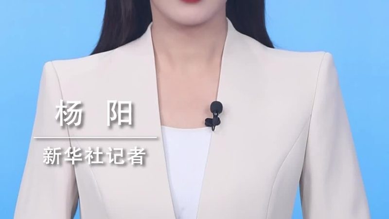 企业搜索故障排查：如何快速定位并解决难题？**